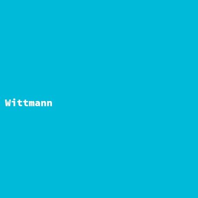 Hersteller: Wittmann